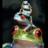 Ricoptere